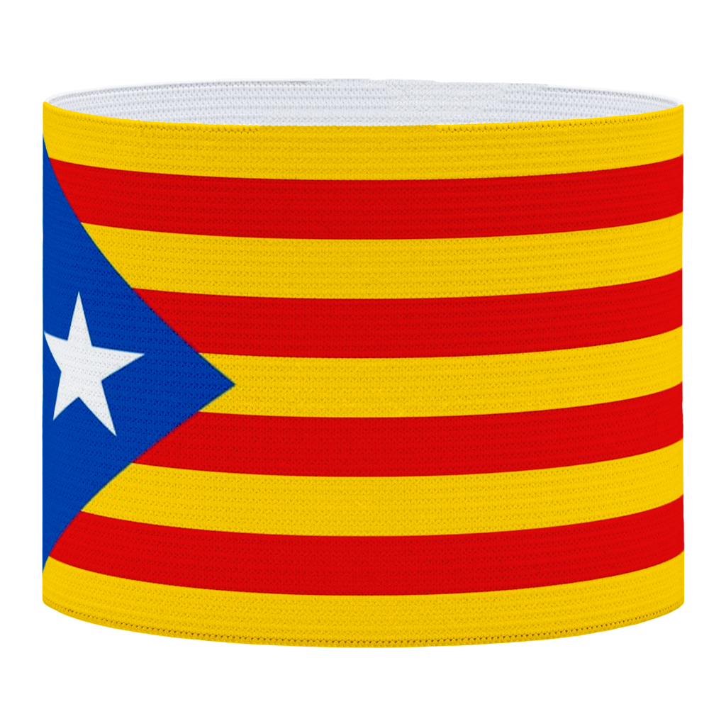 Catalonia Estelada blava